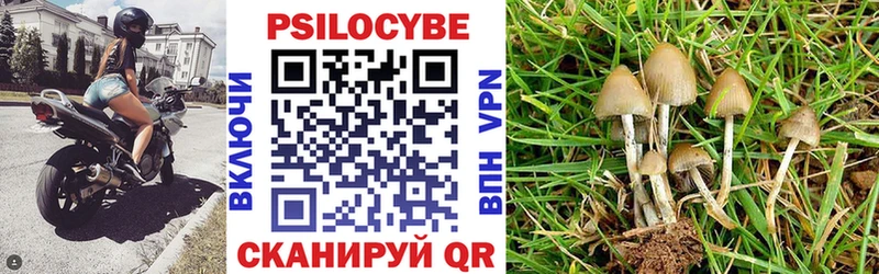 Псилоцибиновые грибы Magic Shrooms  Инсар 